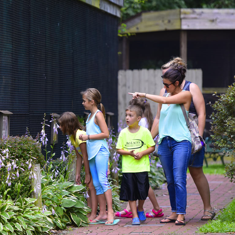 Get up-close to feathered friends at the Ohio Bird Sanctuary