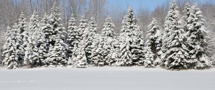 FEBRUARY HAPPENINGS