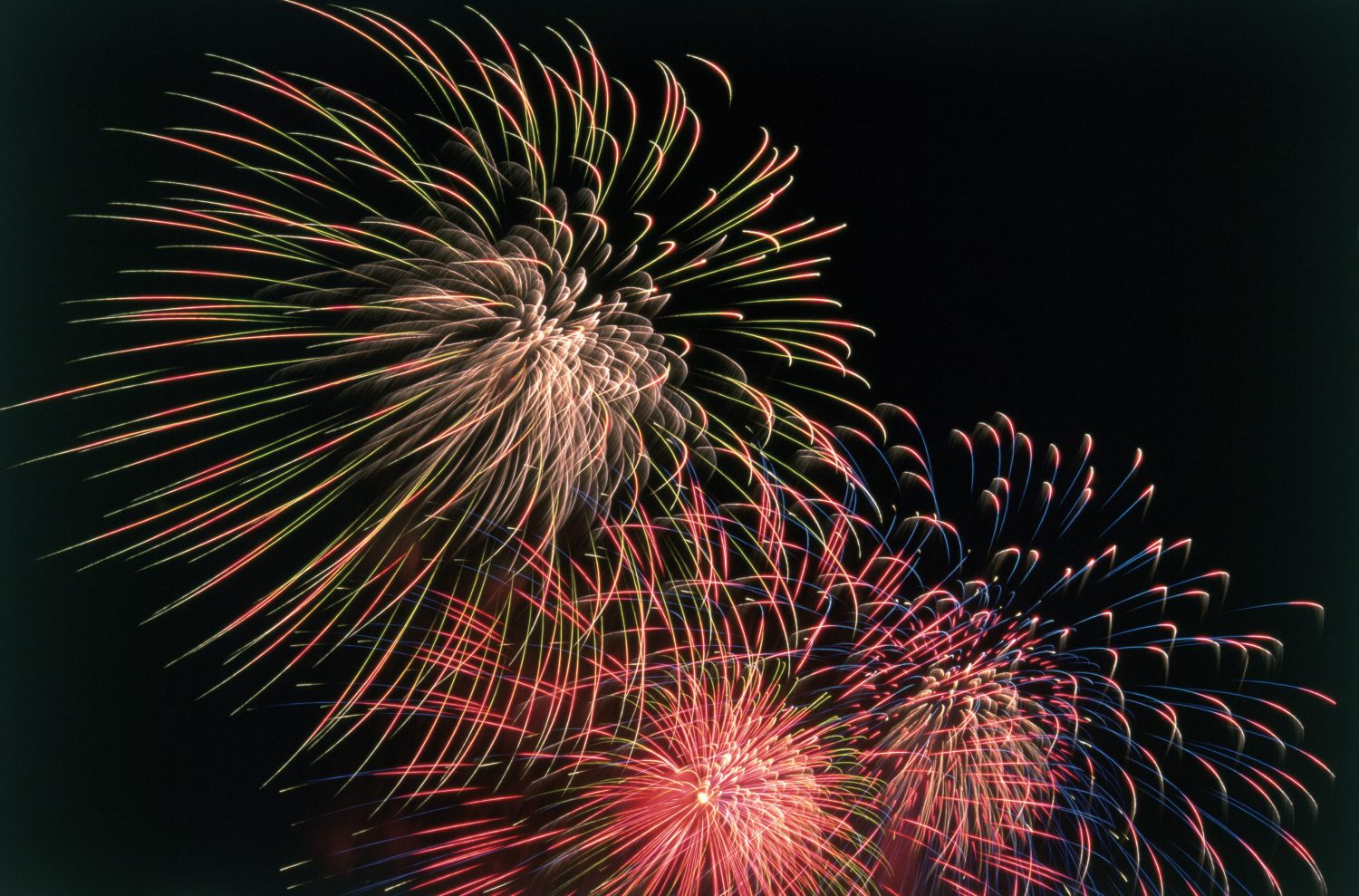 4th of July Fun