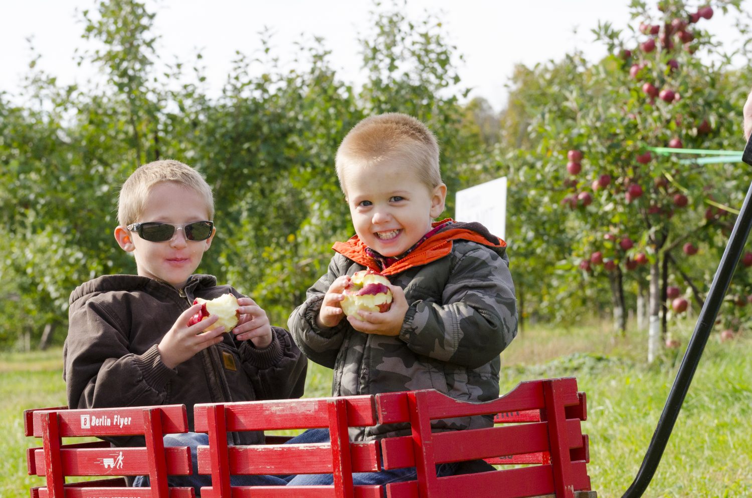 Apple Hill Orchards
