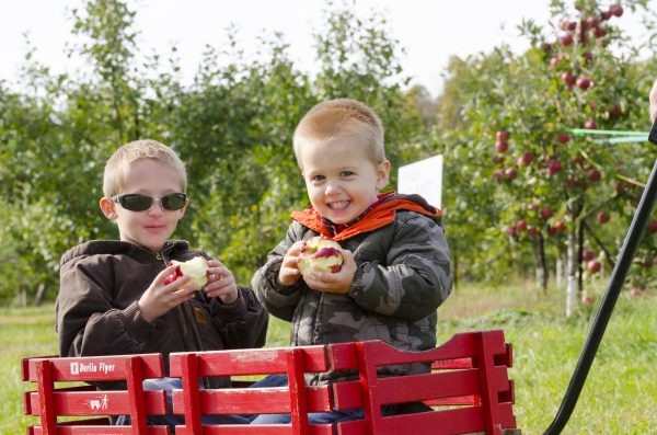 Fall Fun