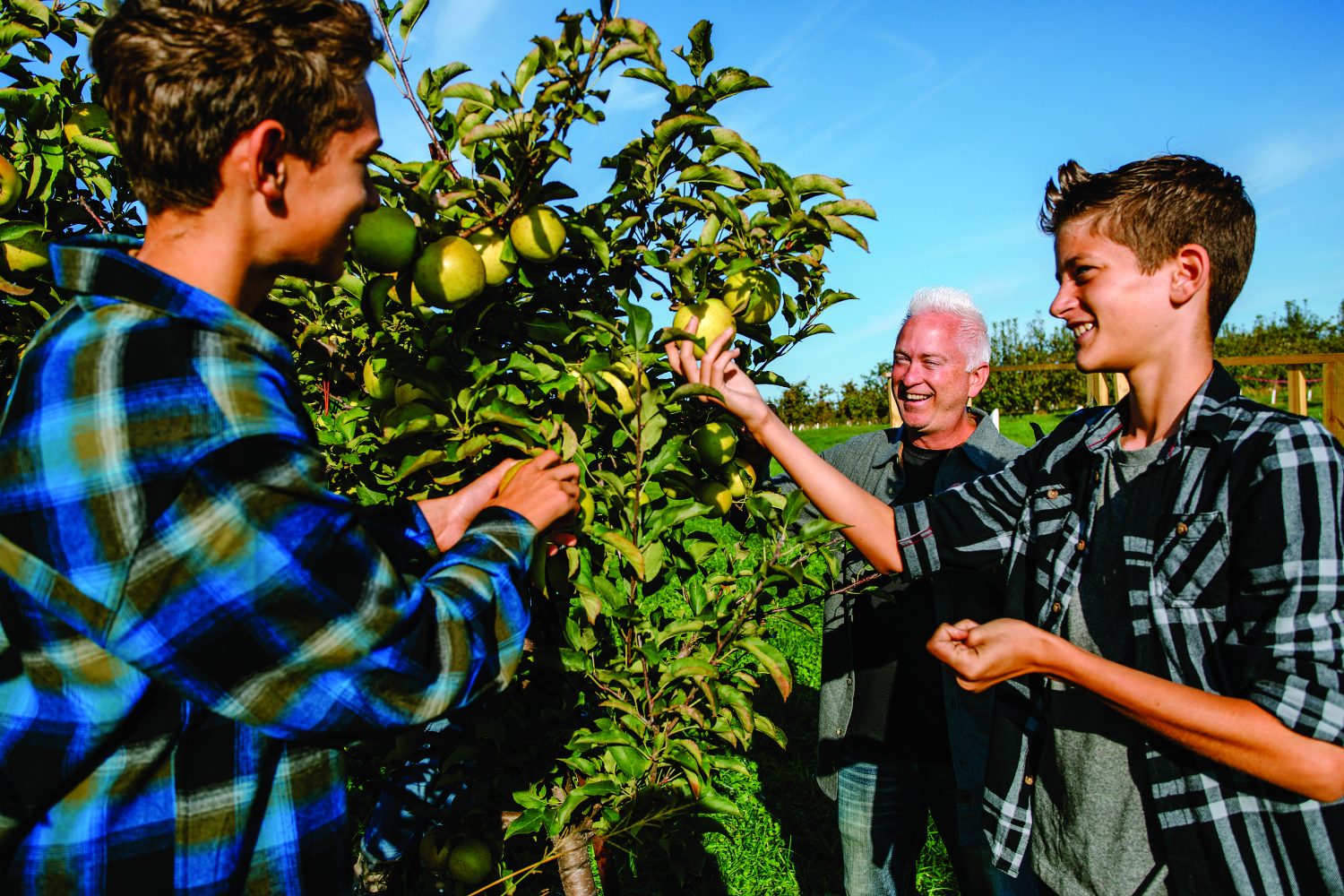 Apple Hill Orchards