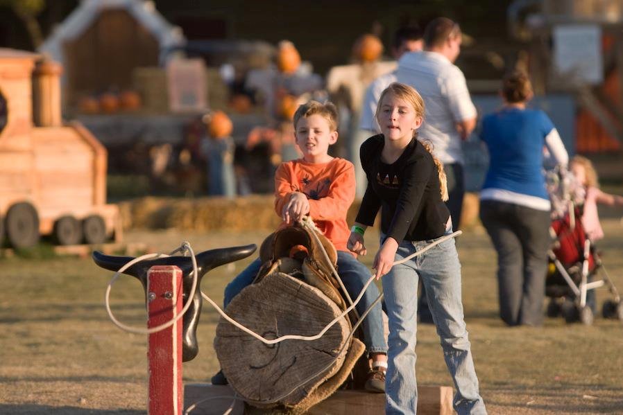 The Barnyard Park