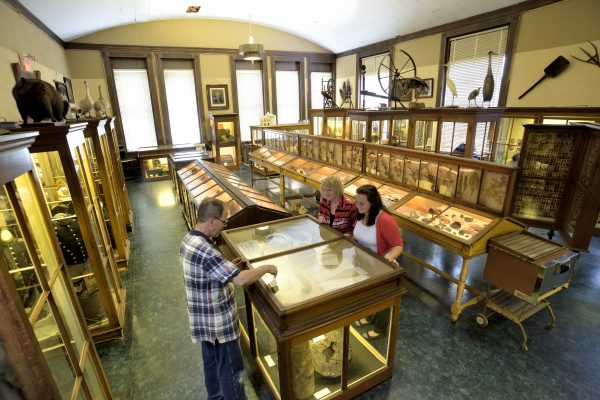 Mansfield Memorial Museum