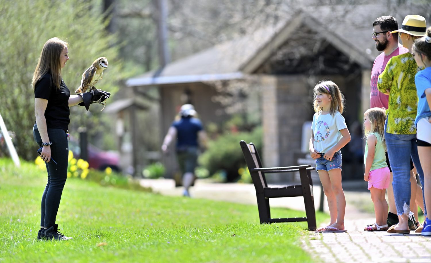 Mohican Wildlife Weekend