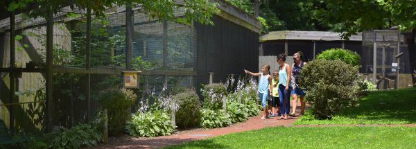 Ohio Bird Sanctuary