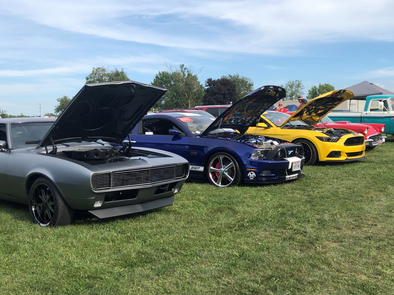 Lexington Blueberry Festival Destination Mansfield