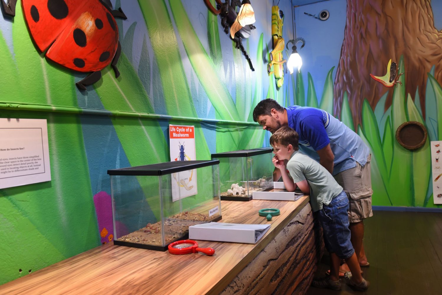 Buckeye Imagination Museum - Destination Mansfield