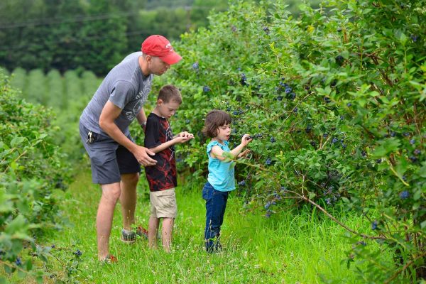Picking Your Own?