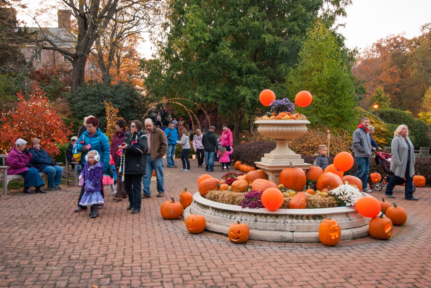 Fall Fun for the Whole Family