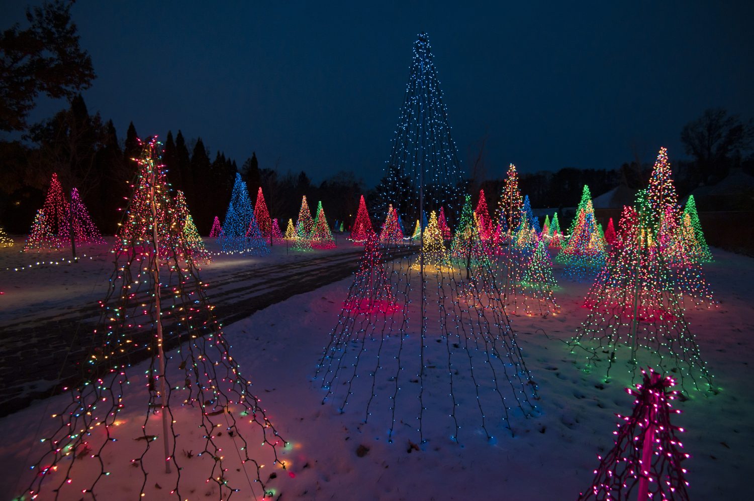 December Happenings and Events