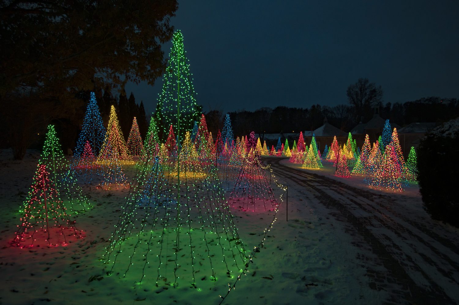 December Happenings and Events