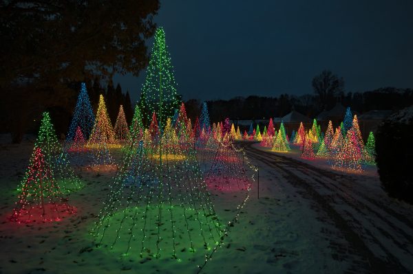 Christmas at Kingwood Center Gardens