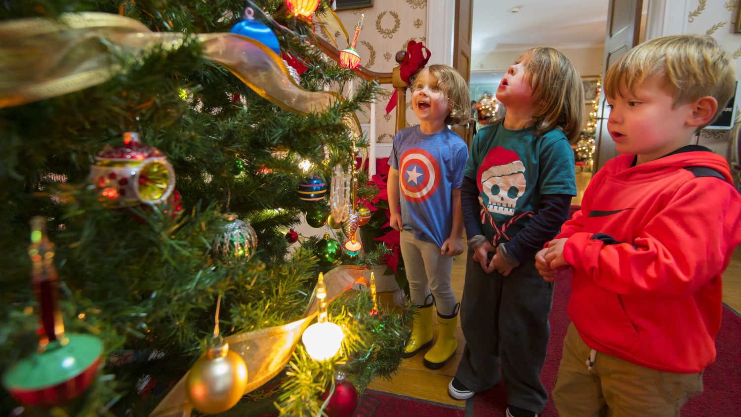 Special Holiday Hours for Featured Attractions