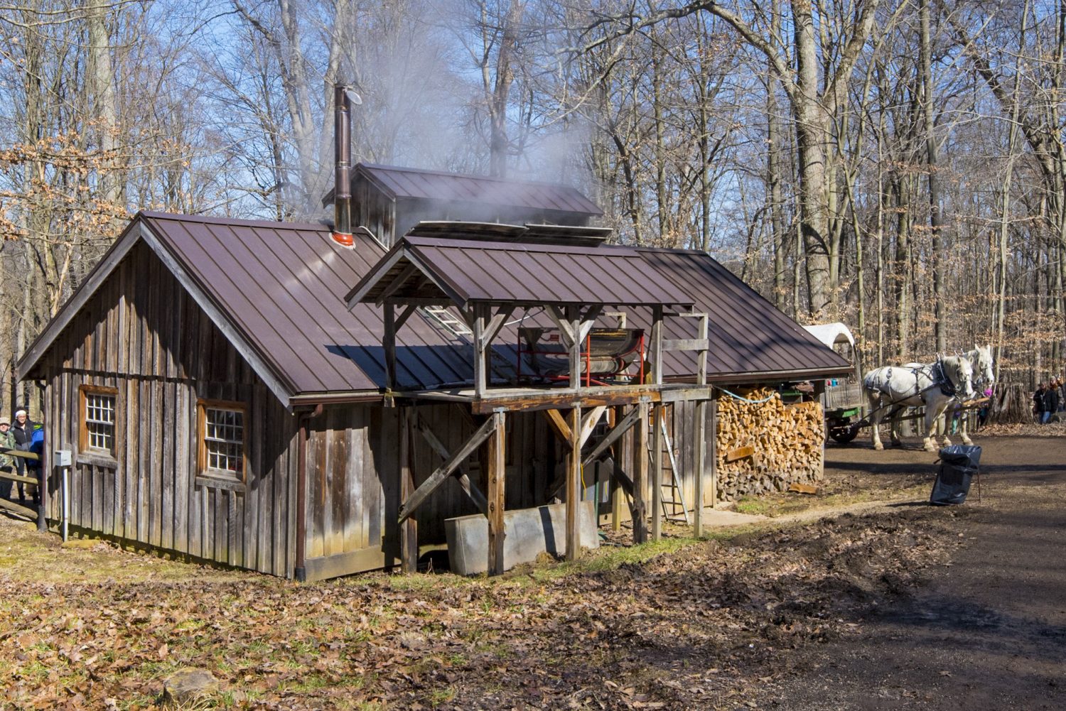 March Happenings and Events