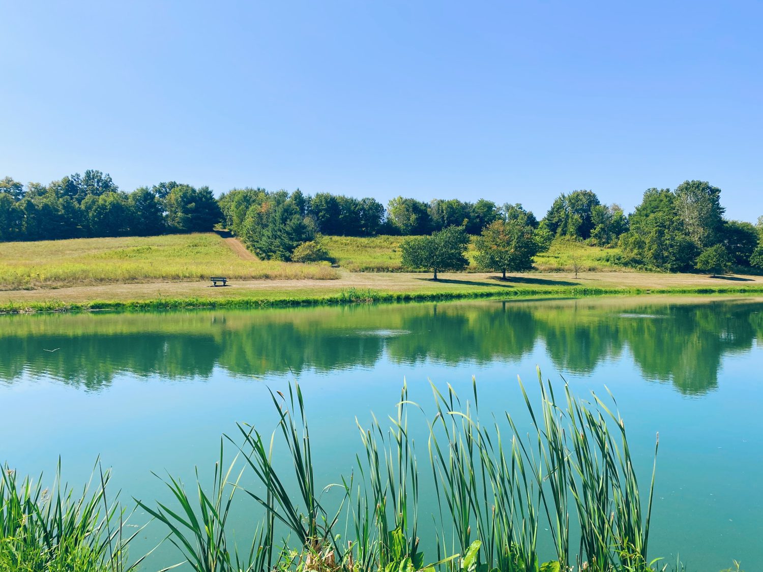 A Day in Shiloh: the Rich Land in Richland County