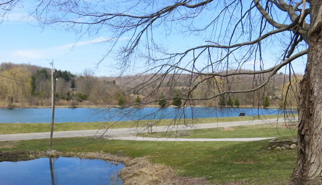 Member Spotlight: Valleyview Country Getaway