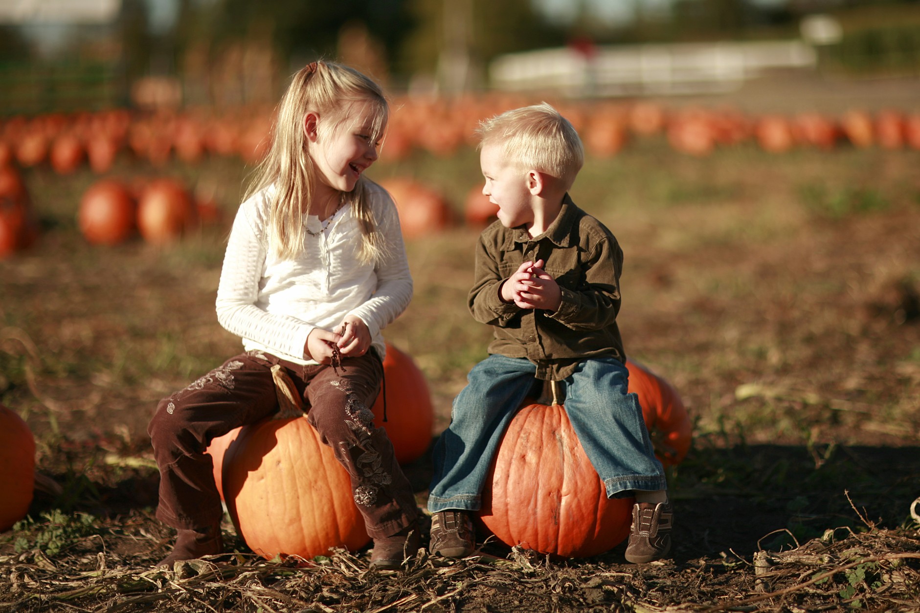 Autumn-themed attractions draw people to Richland County