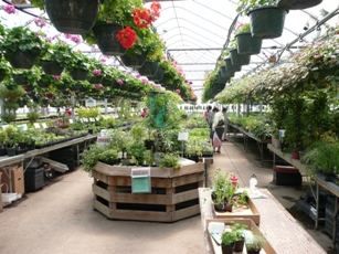 Alta Greenhouse