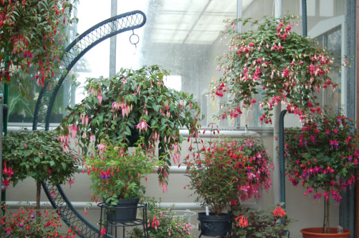 Gardens & Greenhouses