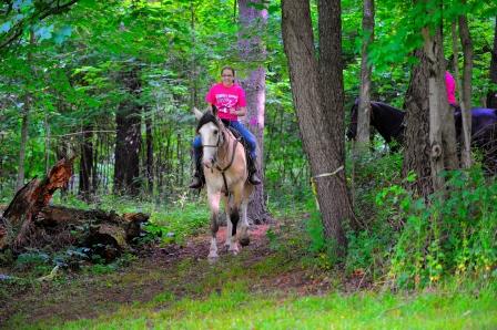 Bridle Trails