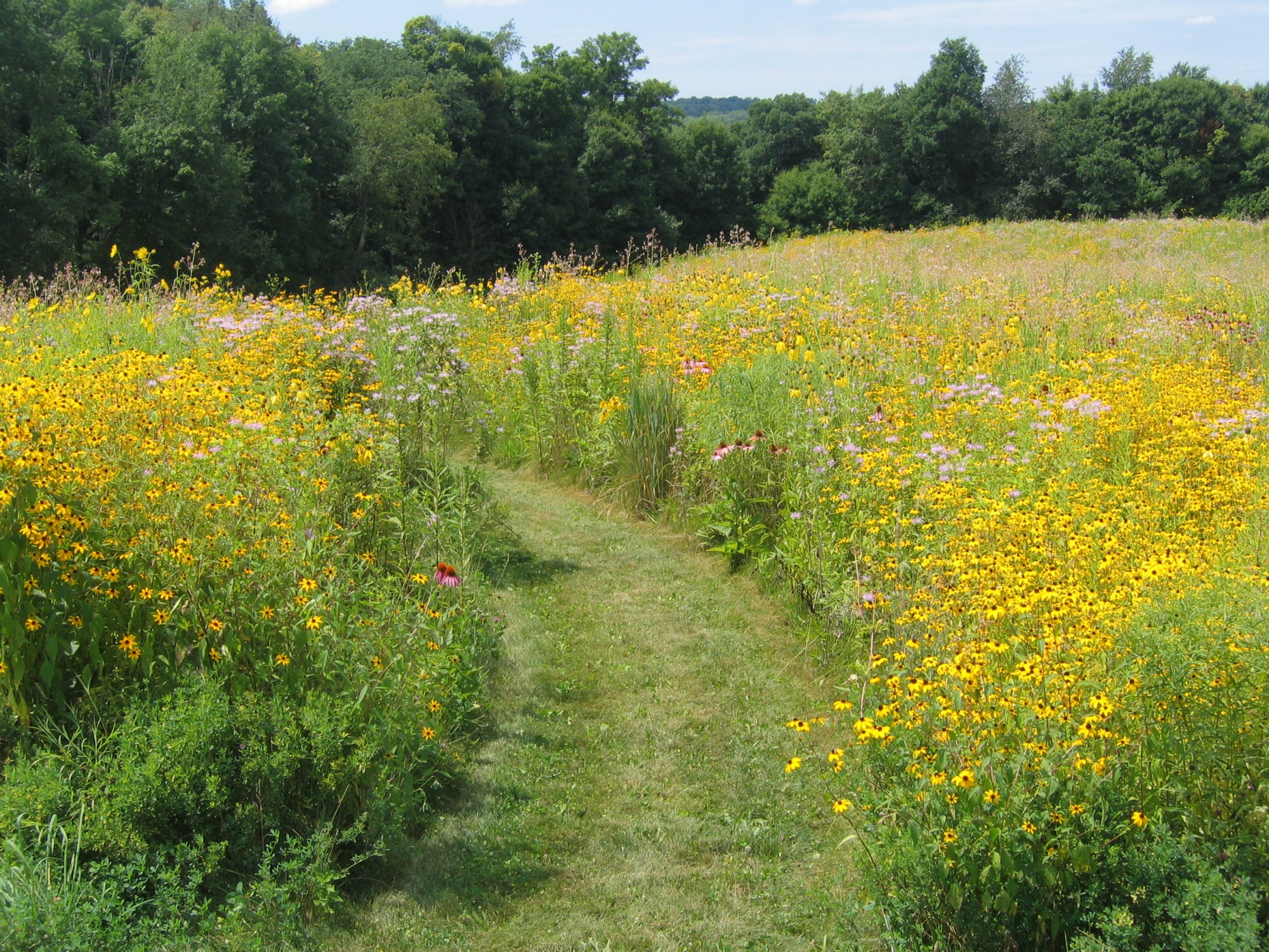 Hiking Across Richland County
